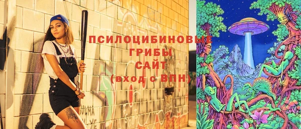 не бодяженный Вяземский