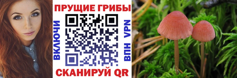 Псилоцибиновые грибы GOLDEN TEACHER Приморск